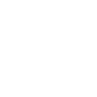 Starlink Performance (2ª Geração)